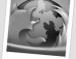 Memory Fox Add-on reduziert Speicher
